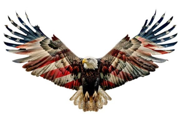 American Eagle Flag Patriotic 4th PNG